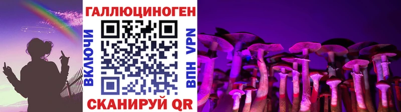 Галлюциногенные грибы Psilocybe Лангепас